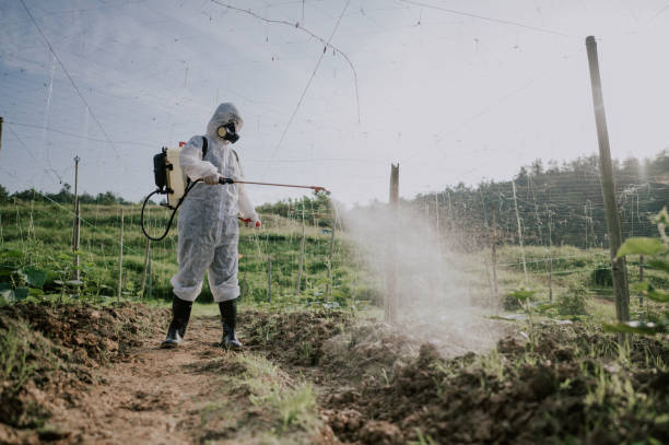 Best Local Pest Control Services  in Milan, TN