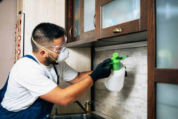 Best Residential Pest Control  in Milan, TN
