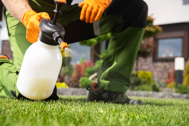 Best Bed Bug Extermination  in Milan, TN