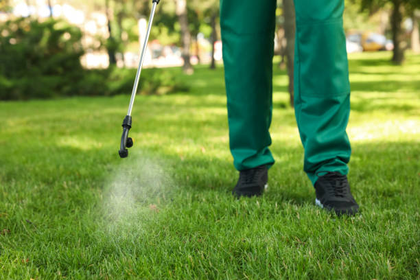 Best Termite Control Services  in Milan, TN