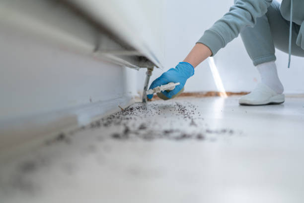 Best Pest Control Treatment  in Milan, TN